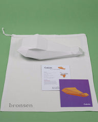 Calvin the Crocodile