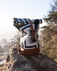 Walking Rock Rolltop Backpack