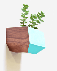 Boxcar Sidecar Walnut and Blue