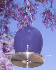 2015 Limited Edition Egg Bird Feeder Jacaranda Purple