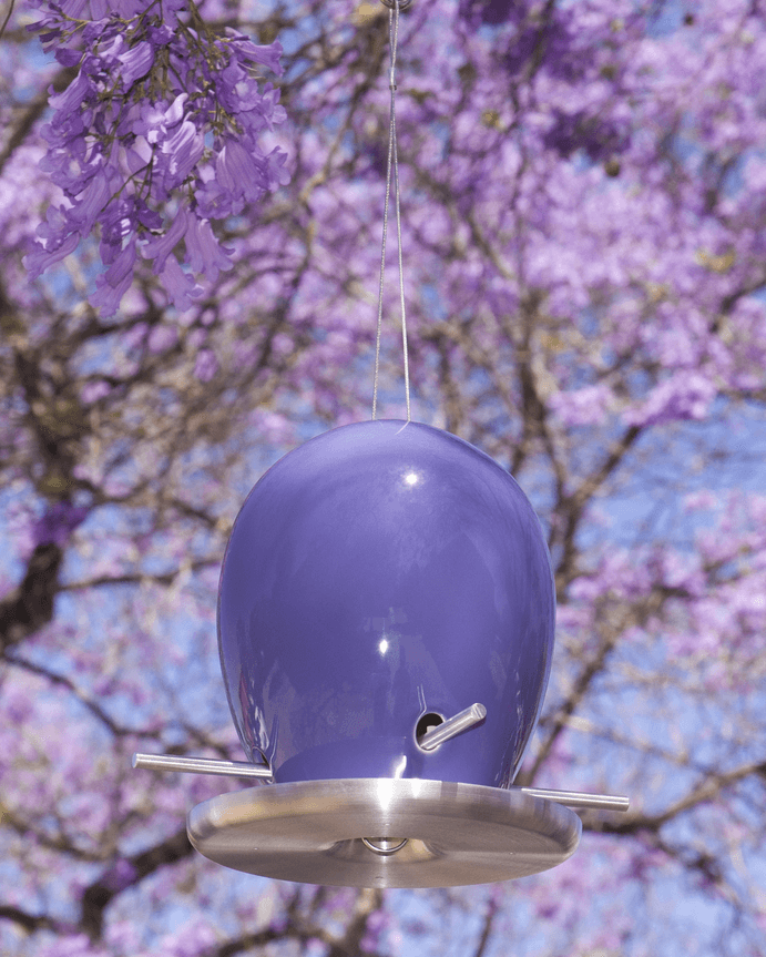 2015 Limited Edition Egg Bird Feeder Jacaranda Purple