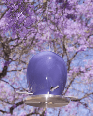 2015 Limited Edition Egg Bird Feeder Jacaranda Purple