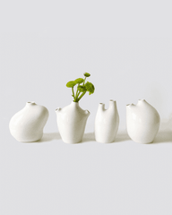 Vita Vase