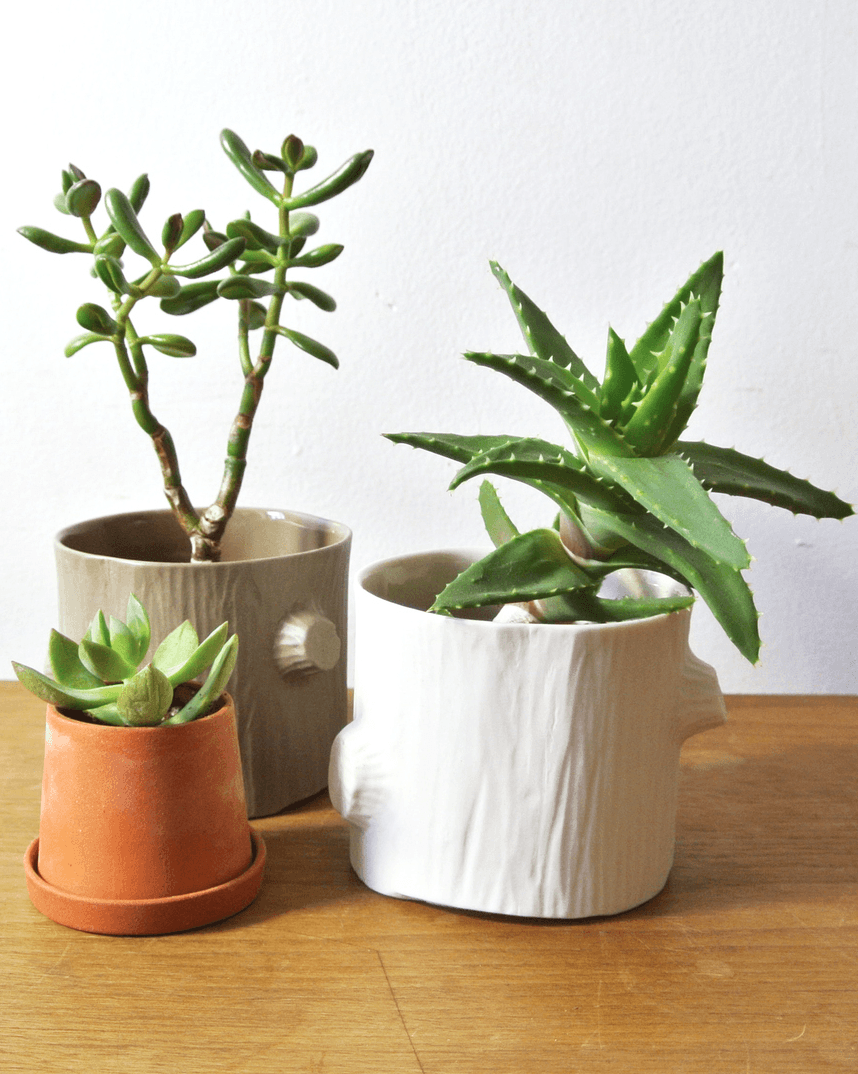White Log Tumbler