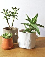White Log Tumbler