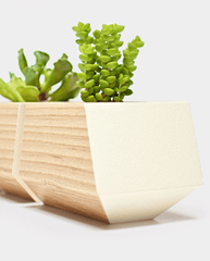 Boxcar Planter Set Ash & Bone White