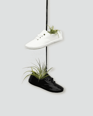 Medium Shoe Pot