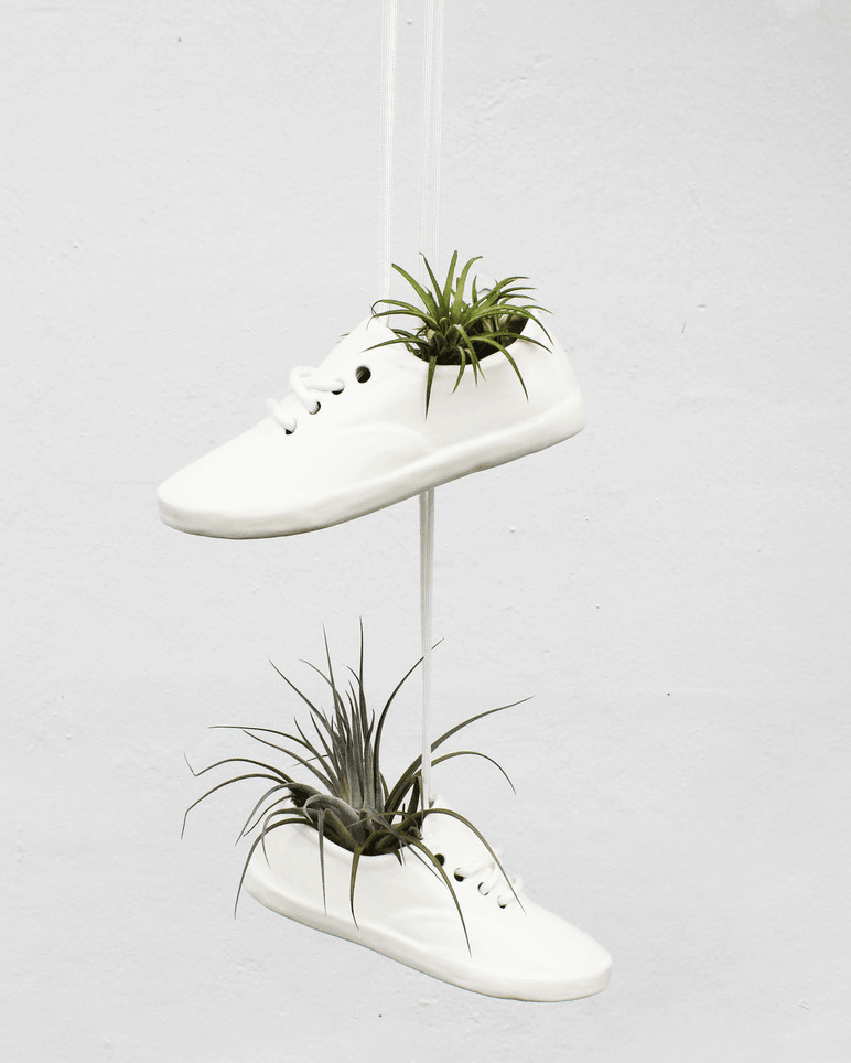 Medium Shoe Pot