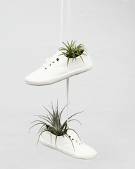 Medium Shoe Pot